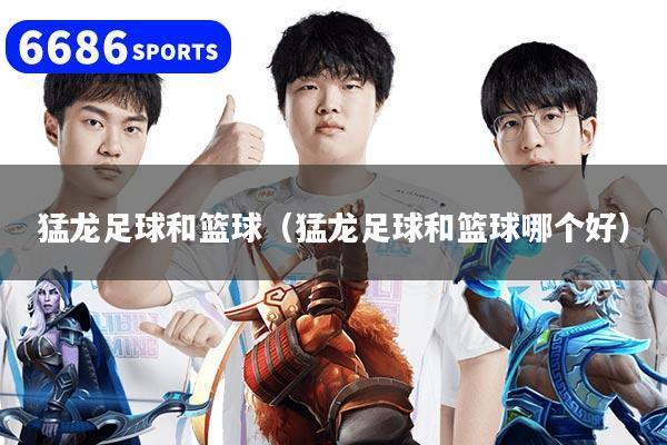 猛龙足球和篮球(猛龙足球和篮球哪个好)
