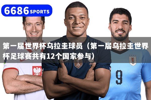 第一届世界杯乌拉圭球员（第一届乌拉圭世界杯足球赛共有12个国家参与）