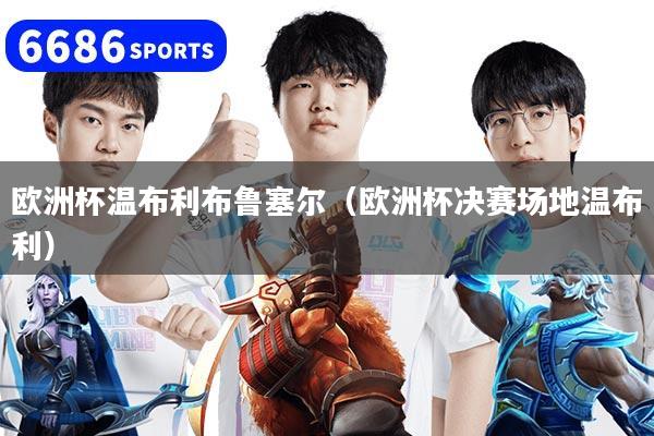 欧洲杯温布利布鲁塞尔（欧洲杯决赛场地温布利）