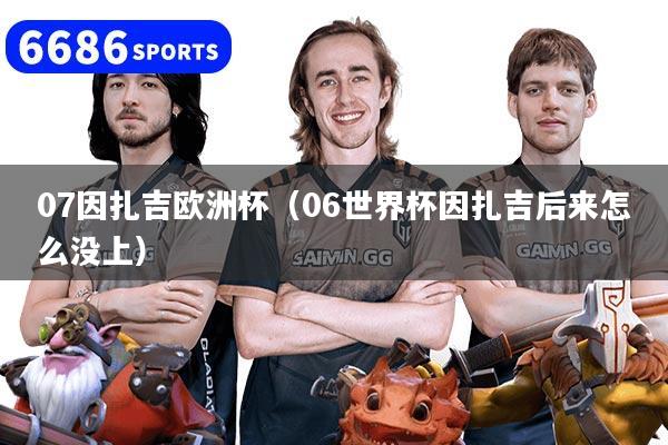 07因扎吉欧洲杯（06世界杯因扎吉后来怎么没上）